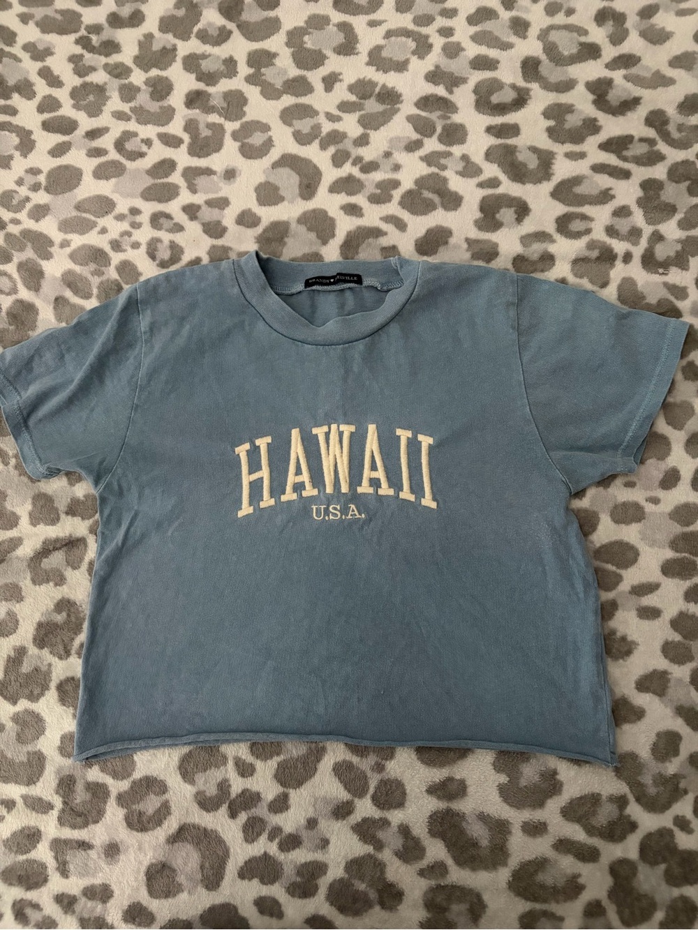 Brandy Melville Hawaii USA Blue Cropped Graphic Tee